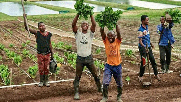 首页| 6008集团官方网站有限公司