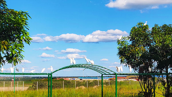 首页| 6008集团官方网站有限公司