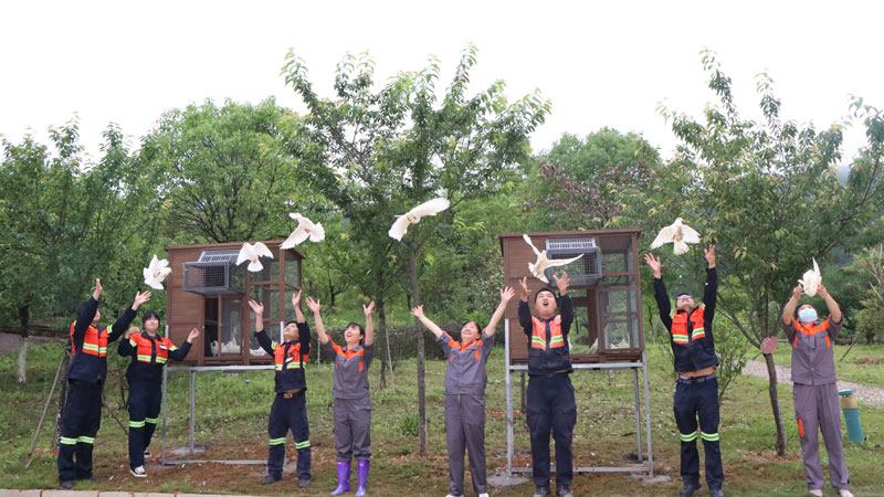 74daad62528249a79bc41f4dbc8579ed