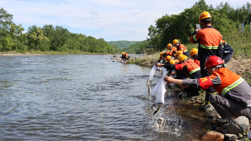 e92a125aa1cf4aa386c1d22a2e1039fa