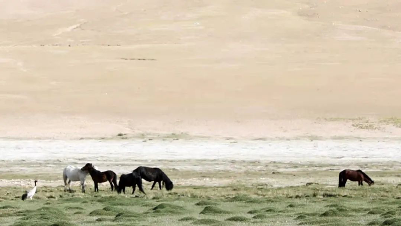 49a54905108e41f7bfc08ea7eedcca69