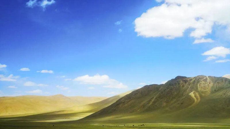 de41b65995d2474b886e69ccadd52f3f