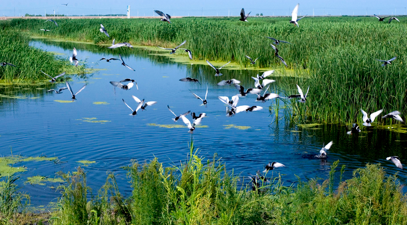 624deec799e74b7f868a507beb2ed824