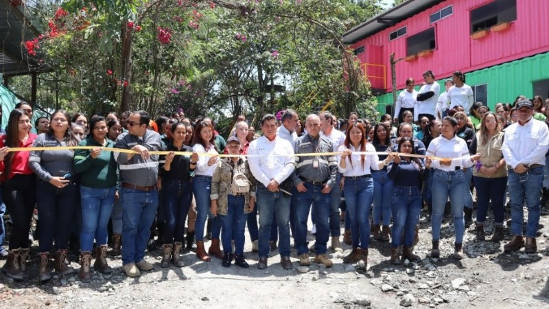 大陆黄金持续改善女子选矿队作业情形