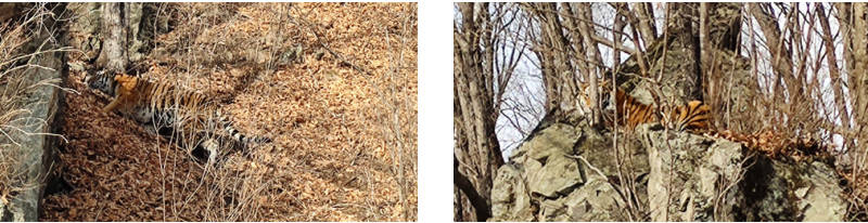 b5a54381261746e99e52a4155c4f2894