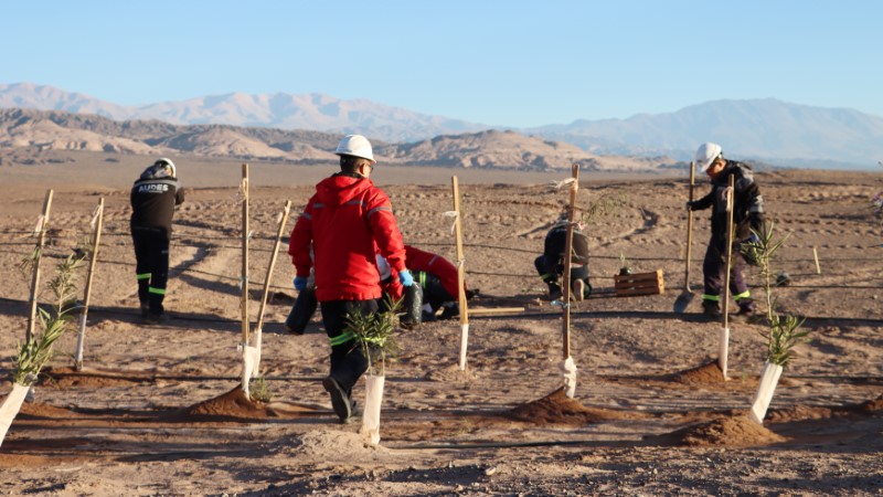 f5060a3b5b0a484eae8a9588bb36ecba