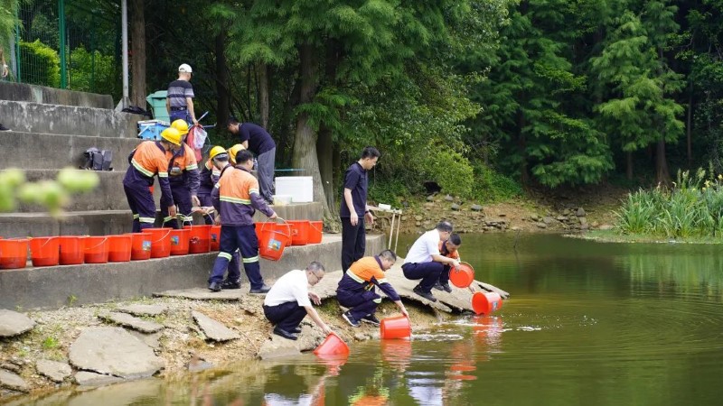 138415d2921a462390a65c7a52df0d72