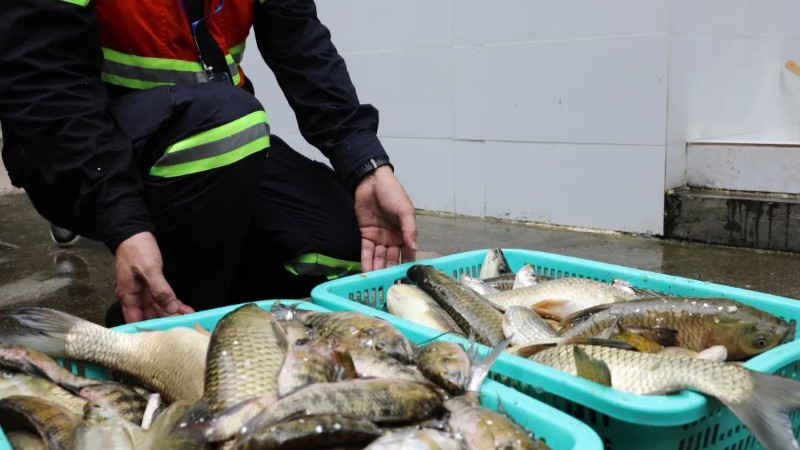 90e560662c8e4ee38751120abc28ff07