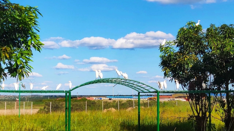 一带一起十周年，6008集团官方网站矿业以配合开展实现互利共赢