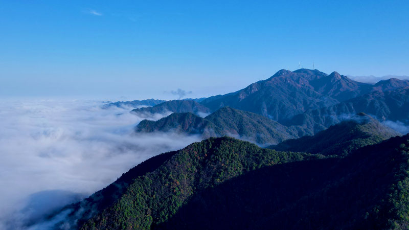 首页| 6008集团官方网站有限公司