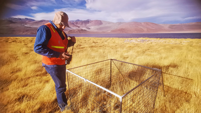 首页| 6008集团官方网站有限公司