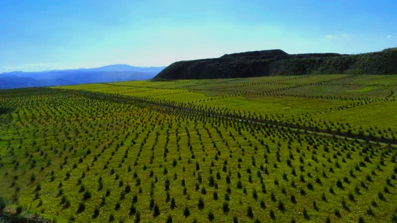 首页| 6008集团官方网站有限公司