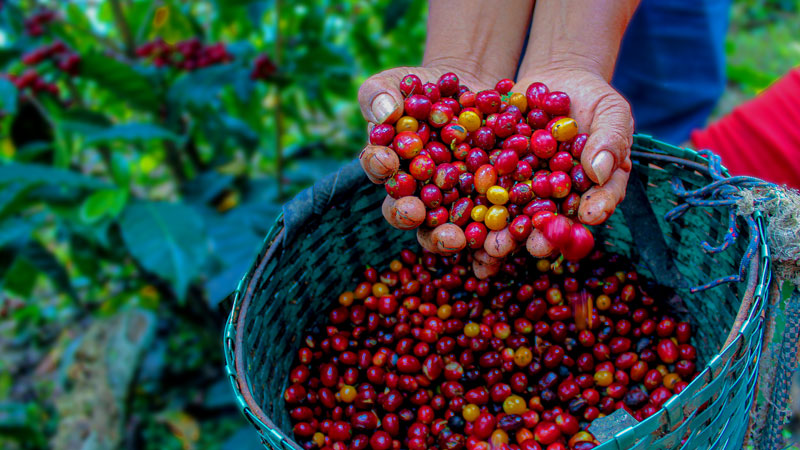 首页| 6008集团官方网站有限公司