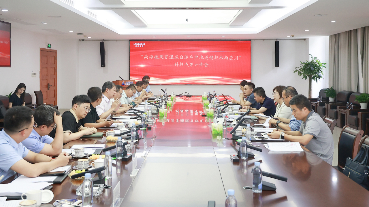 龙净环保一项储能电池要害手艺达国际先进水平