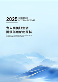 2025年半年度报告