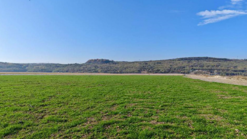 954cdb8c27e94fd69fd80f653e0ed081